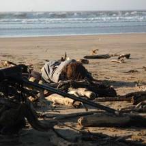 Кадр из фильма "Монтекристо"