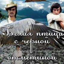 Постер фильма "Белая птица с черной отметиной"