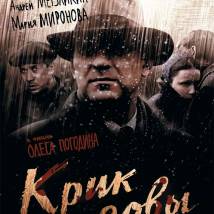Постер фильма "Крик совы"
