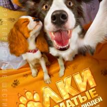 Постер фильма "Елки лохматые"