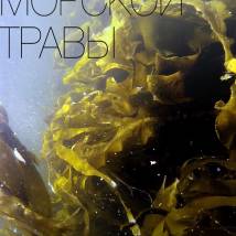 Постер фильма "Собиратели морской травы"