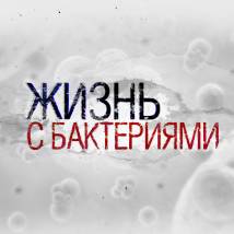 Постер фильма "Жизнь с бактериями. Записки о микробиологии"