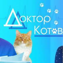 Постер фильма "Доктор Котов"