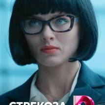 Постер фильма "Стрекоза"