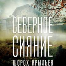 Постер фильма "Северное сияние. Фильм 3: Шорох крыльев"