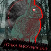 Постер фильма "Точка бифуркации"