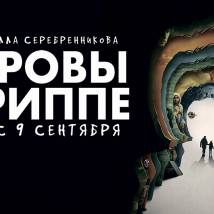 Постер фильма "Петровы в гриппе"