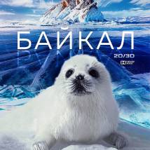 Постер фильма "Байкал. Удивительные приключения Юмы"