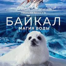 Постер фильма "Байкал. Удивительные приключения Юмы"