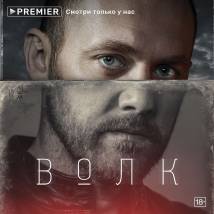Постер фильма "Волк"