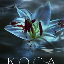 Постер фильма "Коса"