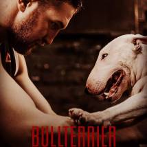 Постер фильма "Бультерьер"