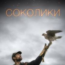 Постер фильма "Соколики"
