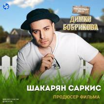 Постер фильма "Настоящее лето Димки Бобрикова"