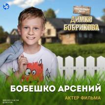 Постер фильма "Настоящее лето Димки Бобрикова"