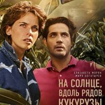 Постер фильма "На солнце, вдоль рядов кукурузы"