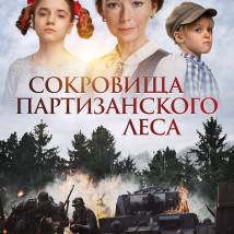 Постер фильма "Сокровища партизанского леса"