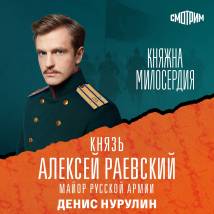 Постер фильма "Княжна милосердия"