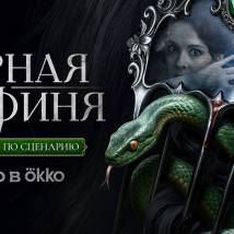 Постер фильма "Черная графиня"
