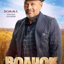 Постер фильма "Волчок"