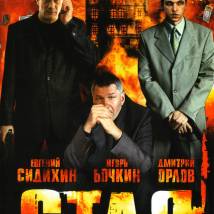 Постер фильма "Стая"