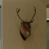 Кадр из фильма "Голая бухта"