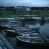 Кадр из фильма "Собиратели морской травы"