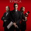 Постер фильма "Канцелярская крыса"