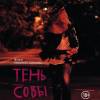 Постер фильма "Тень Совы"