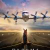Постер фильма "Пальма"