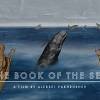 Постер фильма "Книга моря"