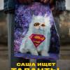 Постер фильма "Саша ищет таланты"