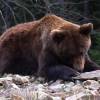 На съемках фильма "Байкал. Удивительные приключения Юмы"