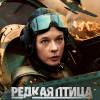 Постер фильма "Редкая птица"