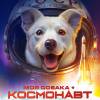 Постер фильма "Моя собака - космонавт"