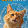 Постер фильма "Котовасия"
