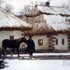 На съемках фильма "Тарас Бульба"