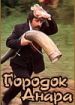 Городок Анара