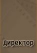 Директор
