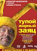 Тупой жирный заяц