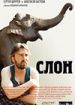 Слон