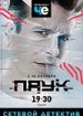 Паук