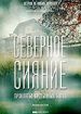 Северное сияние. Фильм 6: Проклятье пустынных болот