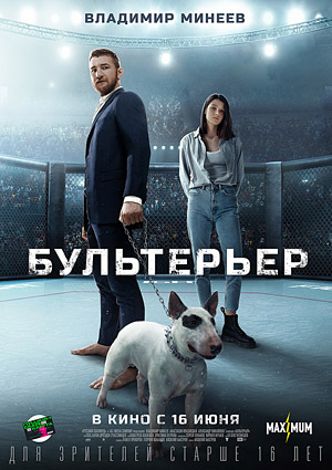 Бультерьер
