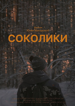 Соколики
